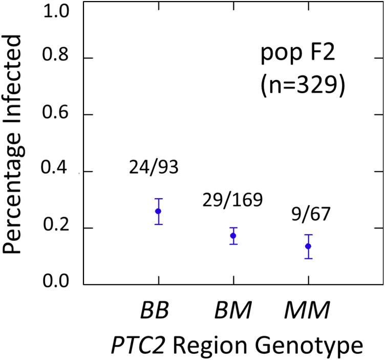 https://cdn.ncbi.nlm.nih.gov/pmc/blobs/fec0/9480060/a7e230d9f77a/peerj-10-13971-g003.jpg