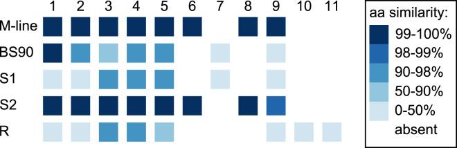 https://cdn.ncbi.nlm.nih.gov/pmc/blobs/fec0/9480060/c225ff3ce8bd/peerj-10-13971-g005.jpg