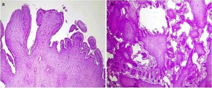https://cdn.ncbi.nlm.nih.gov/pmc/blobs/fec1/11520492/1006aac07e27/13000_2024_1560_Fig4_HTML.jpg
