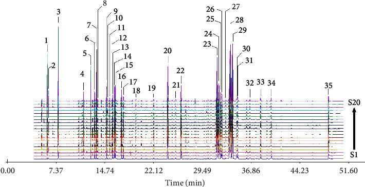 https://cdn.ncbi.nlm.nih.gov/pmc/blobs/fec1/9928509/60698c29973a/ECAM2023-3503888.002.jpg