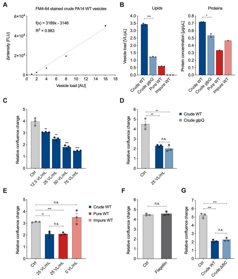 https://cdn.ncbi.nlm.nih.gov/pmc/blobs/fec2/10705164/a956f9edebe6/cells-12-02674-g003.jpg