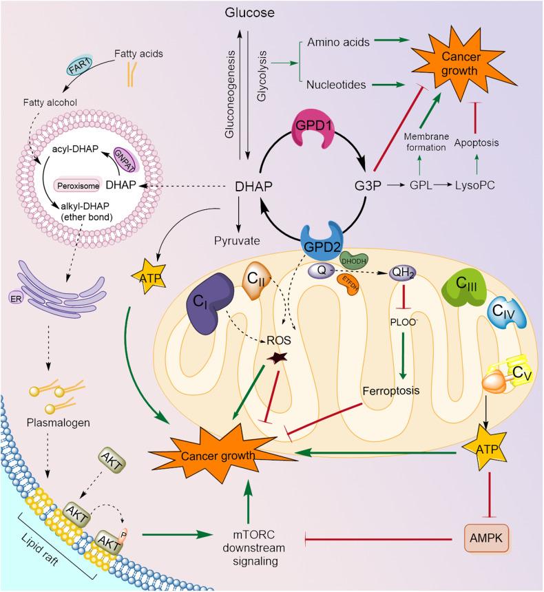 https://cdn.ncbi.nlm.nih.gov/pmc/blobs/fec2/11148179/38683101b3d4/12276_2024_1222_Fig2_HTML.jpg