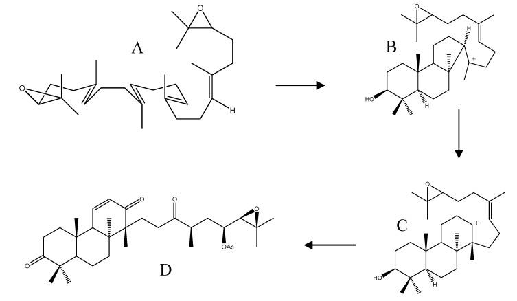 https://cdn.ncbi.nlm.nih.gov/pmc/blobs/fec3/6269960/46080c17a99a/molecules-18-04054-g011.jpg