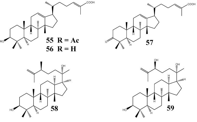 https://cdn.ncbi.nlm.nih.gov/pmc/blobs/fec3/6269960/635bab33d811/molecules-18-04054-g007.jpg