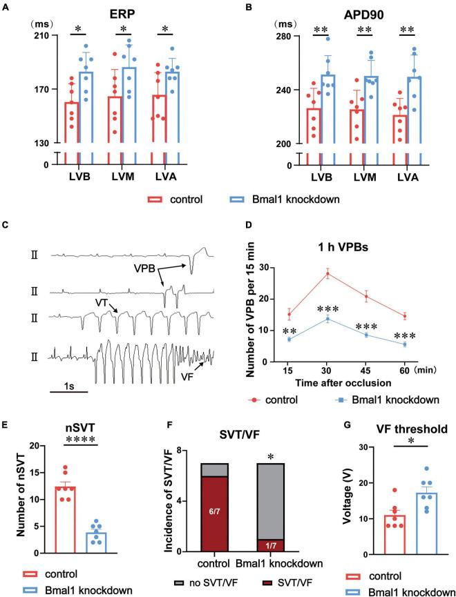 https://cdn.ncbi.nlm.nih.gov/pmc/blobs/fec6/9556266/4aca2d7e0f57/fcvm-09-937608-g002.jpg