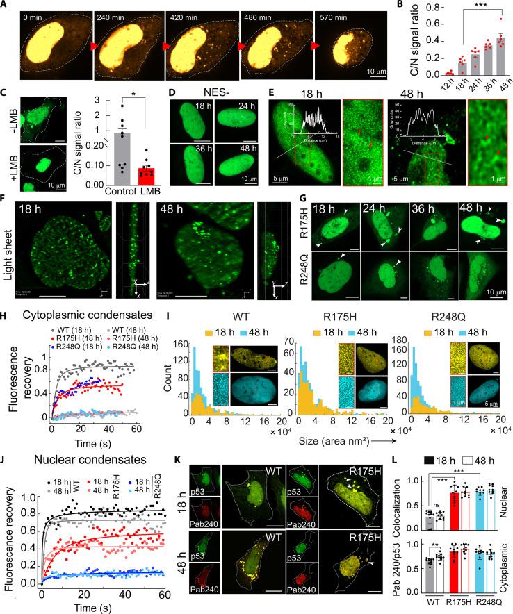 https://cdn.ncbi.nlm.nih.gov/pmc/blobs/fec7/11633762/615a95ca30f6/sciadv.ads0427-f2.jpg