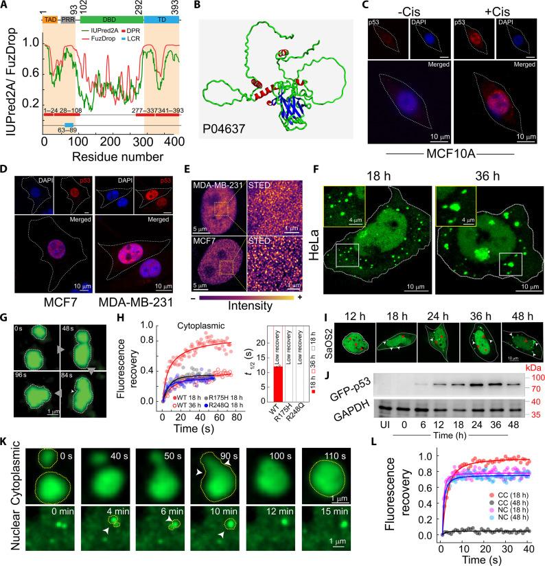 https://cdn.ncbi.nlm.nih.gov/pmc/blobs/fec7/11633762/7e4734b650f4/sciadv.ads0427-f1.jpg