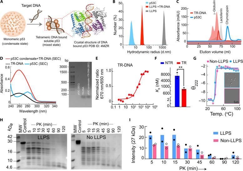 https://cdn.ncbi.nlm.nih.gov/pmc/blobs/fec7/11633762/ca046b58e0f0/sciadv.ads0427-f7.jpg