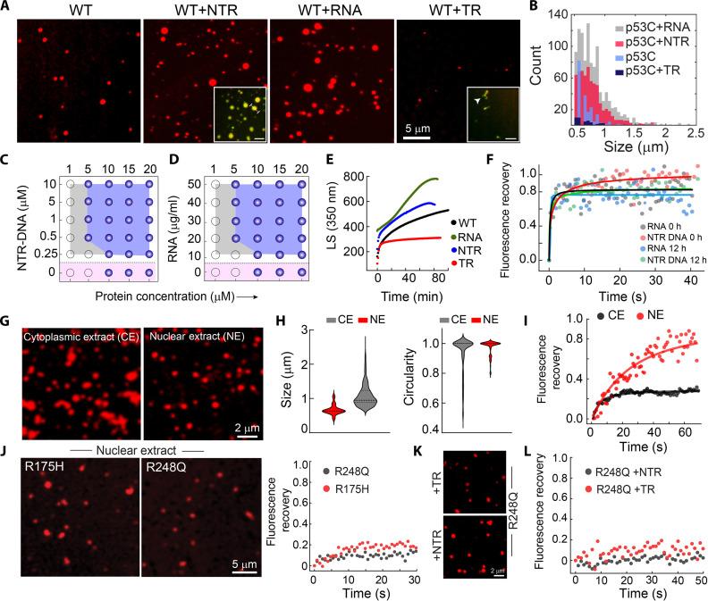 https://cdn.ncbi.nlm.nih.gov/pmc/blobs/fec7/11633762/fc58770c8834/sciadv.ads0427-f5.jpg