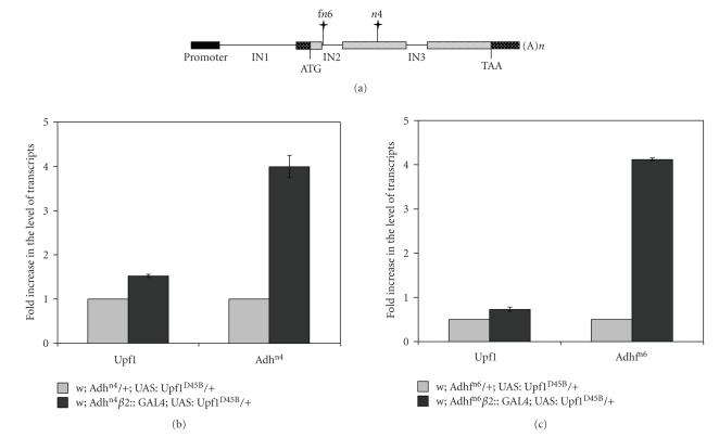 https://cdn.ncbi.nlm.nih.gov/pmc/blobs/fec7/2817372/a3c58aaa35e4/JBB2009-860761.001.jpg
