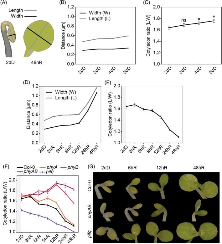 https://cdn.ncbi.nlm.nih.gov/pmc/blobs/feca/12083523/f3c959cc5744/TPJ-122-0-g001.jpg