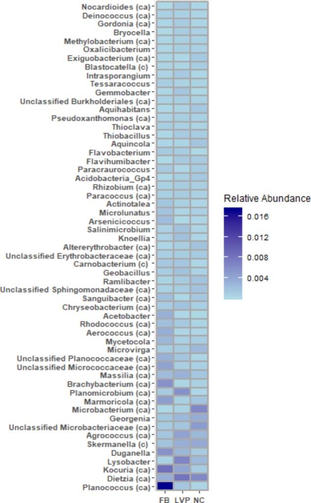 https://cdn.ncbi.nlm.nih.gov/pmc/blobs/feca/6282627/bea762f75df7/fmicb-09-02868-g004.jpg