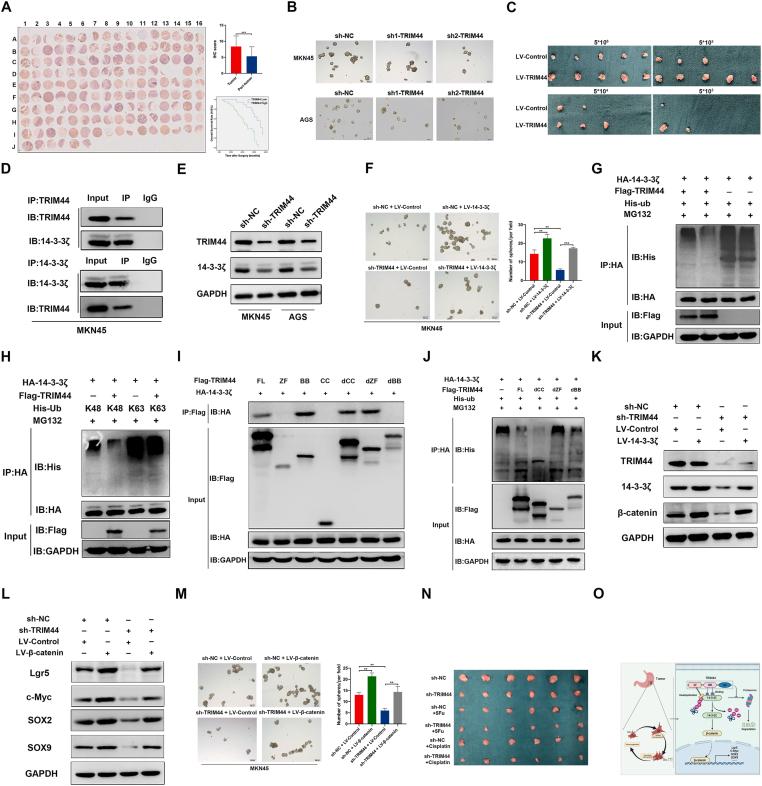 https://cdn.ncbi.nlm.nih.gov/pmc/blobs/fecd/9293703/a09984e336cc/gr1.jpg
