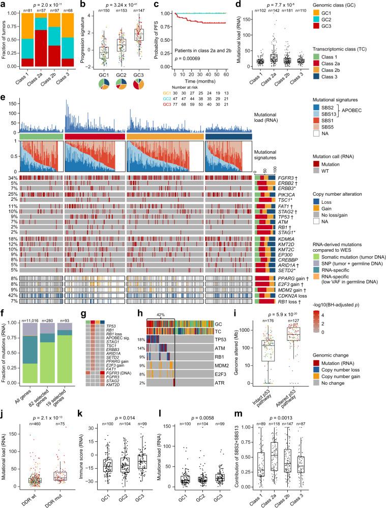 https://cdn.ncbi.nlm.nih.gov/pmc/blobs/fed1/8052448/1b2c9e95622e/41467_2021_22465_Fig3_HTML.jpg