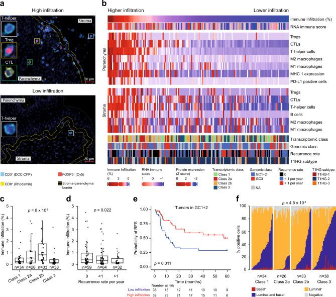https://cdn.ncbi.nlm.nih.gov/pmc/blobs/fed1/8052448/74fe9e377af2/41467_2021_22465_Fig4_HTML.jpg