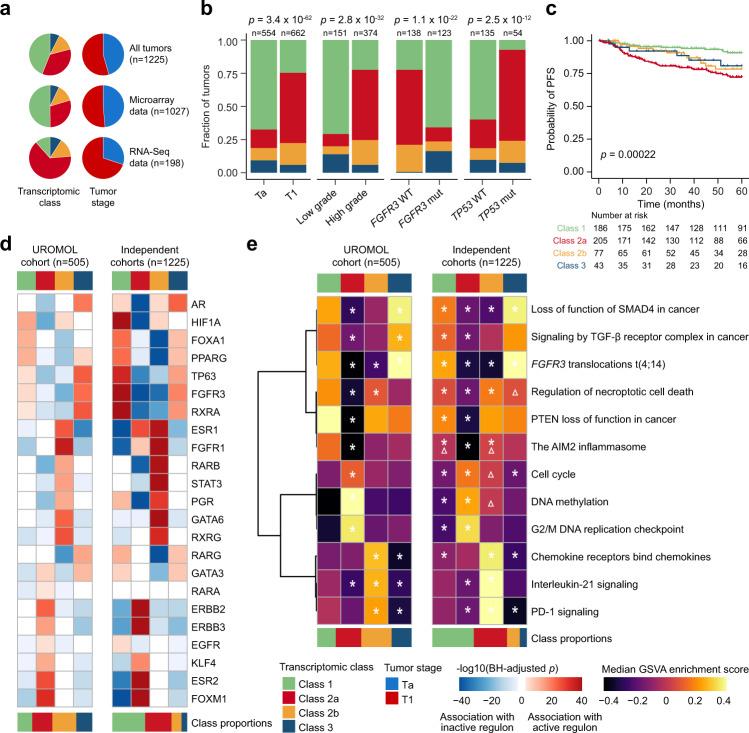 https://cdn.ncbi.nlm.nih.gov/pmc/blobs/fed1/8052448/b8a30413502a/41467_2021_22465_Fig6_HTML.jpg