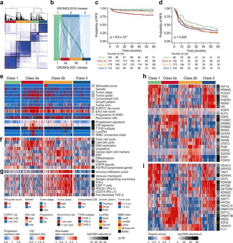 https://cdn.ncbi.nlm.nih.gov/pmc/blobs/fed1/8052448/bf6545a6bce4/41467_2021_22465_Fig1_HTML.jpg