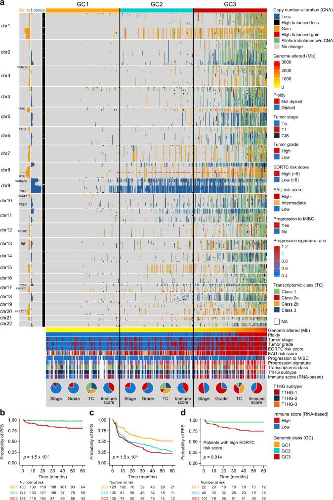 https://cdn.ncbi.nlm.nih.gov/pmc/blobs/fed1/8052448/fd2763d5bf22/41467_2021_22465_Fig2_HTML.jpg