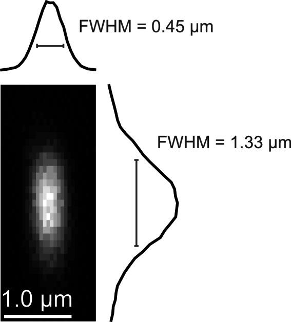 https://cdn.ncbi.nlm.nih.gov/pmc/blobs/fed7/4739768/57851f205d01/elife-10566-fig1-figsupp1.jpg