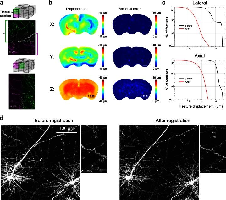 https://cdn.ncbi.nlm.nih.gov/pmc/blobs/fed7/4739768/7ed3b4321f52/elife-10566-fig3.jpg