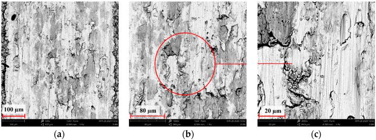 https://cdn.ncbi.nlm.nih.gov/pmc/blobs/fed8/8509844/56b99285a1d3/materials-14-05525-g025.jpg