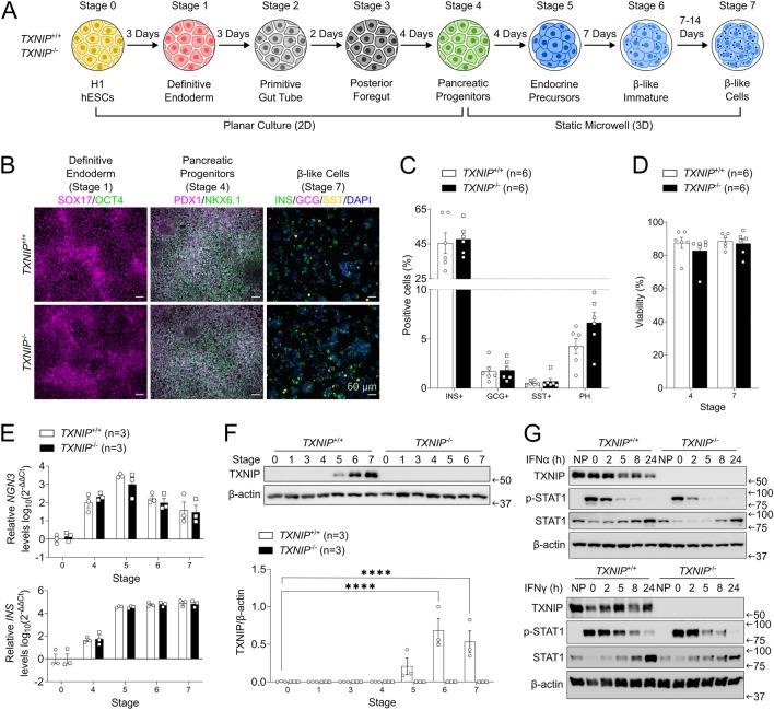 https://cdn.ncbi.nlm.nih.gov/pmc/blobs/feda/12051322/c499ef9880fc/13287_2025_4314_Fig5_HTML.jpg