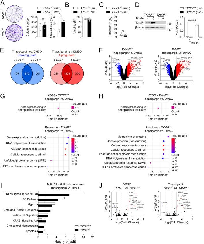 https://cdn.ncbi.nlm.nih.gov/pmc/blobs/feda/12051322/cd94ea4d6bca/13287_2025_4314_Fig2_HTML.jpg