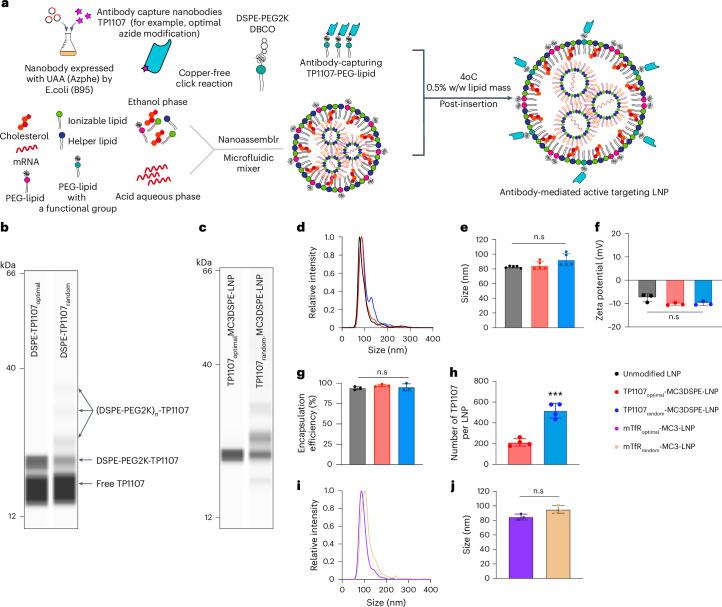 https://cdn.ncbi.nlm.nih.gov/pmc/blobs/fedc/12443633/4390255385c8/41565_2025_1954_Fig2_HTML.jpg