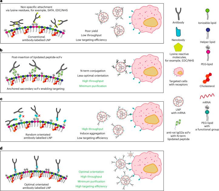 https://cdn.ncbi.nlm.nih.gov/pmc/blobs/fedc/12443633/afcb1b2fff37/41565_2025_1954_Fig1_HTML.jpg