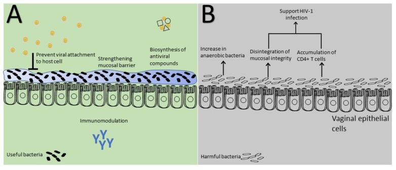 https://cdn.ncbi.nlm.nih.gov/pmc/blobs/fedd/10675801/77b0d27923e8/viruses-15-02195-g003.jpg