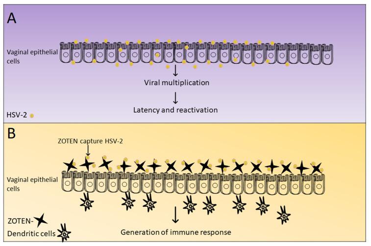 https://cdn.ncbi.nlm.nih.gov/pmc/blobs/fedd/10675801/aa5cdc0de02a/viruses-15-02195-g005.jpg