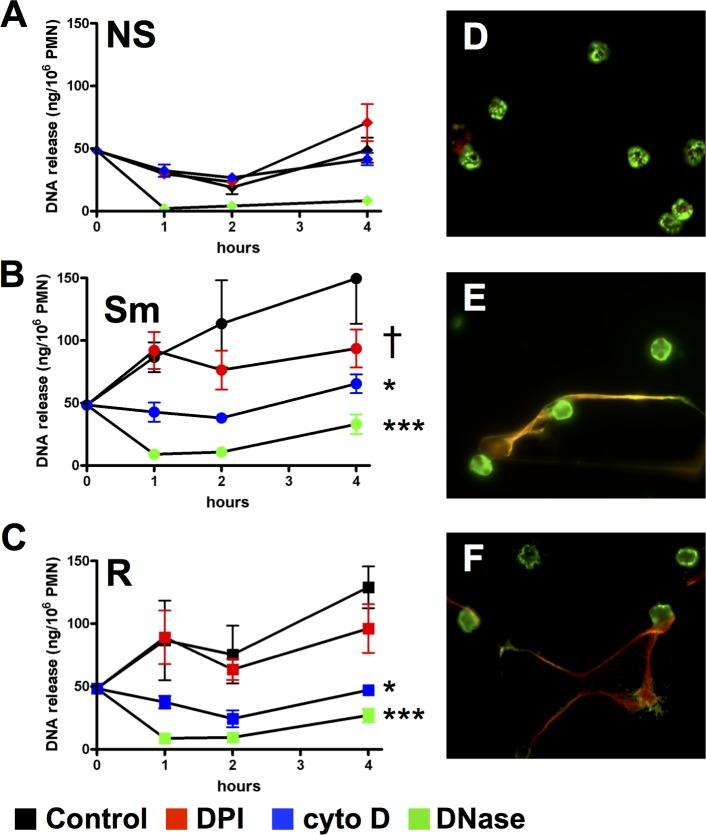 https://cdn.ncbi.nlm.nih.gov/pmc/blobs/fedf/5909612/36a70d69ce82/pone.0196120.g007.jpg