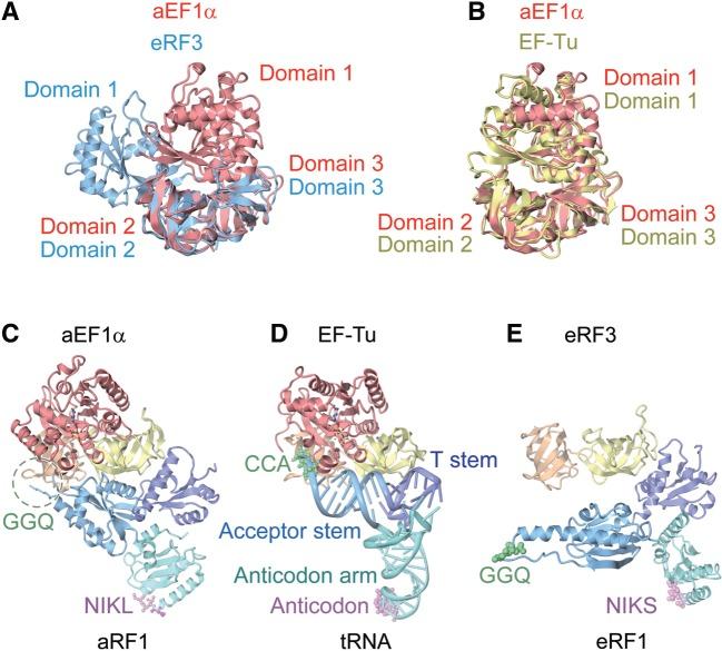 https://cdn.ncbi.nlm.nih.gov/pmc/blobs/fee2/3467058/e27f41562365/gks660f4.jpg