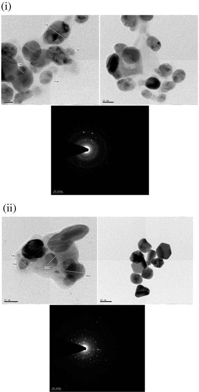 https://cdn.ncbi.nlm.nih.gov/pmc/blobs/fee2/5952679/cca5154880bb/gr6.jpg