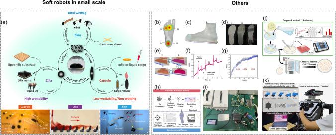 https://cdn.ncbi.nlm.nih.gov/pmc/blobs/fee4/11176285/327f0d8c53ad/40820_2024_1423_Fig12_HTML.jpg