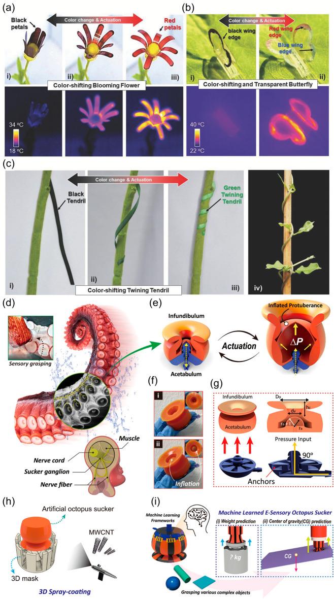 https://cdn.ncbi.nlm.nih.gov/pmc/blobs/fee4/11176285/8d23b4330870/40820_2024_1423_Fig16_HTML.jpg