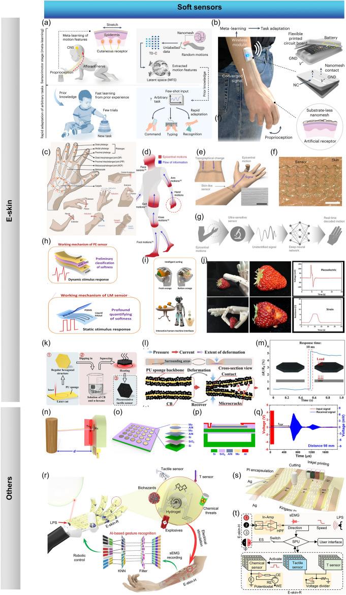 https://cdn.ncbi.nlm.nih.gov/pmc/blobs/fee4/11176285/c04e77c0b3e9/40820_2024_1423_Fig8_HTML.jpg