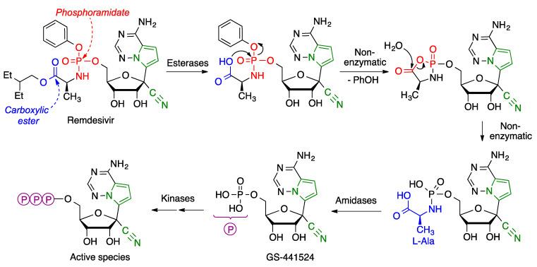 https://cdn.ncbi.nlm.nih.gov/pmc/blobs/fee4/8838458/5cefd8f478ad/molecules-27-00658-g019.jpg