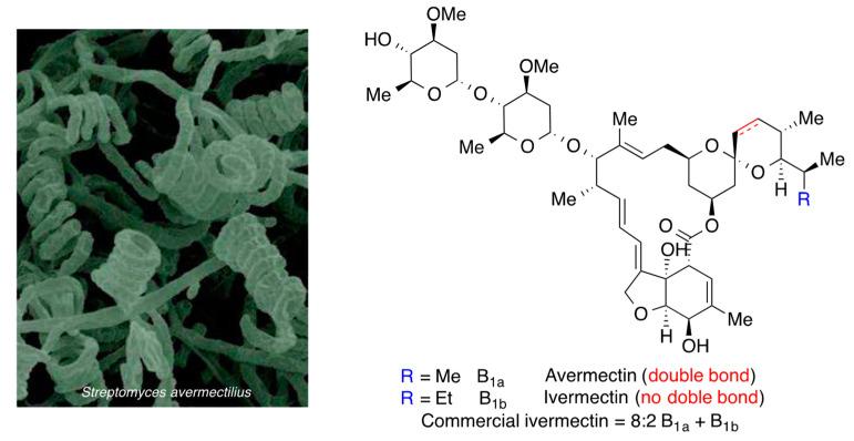 https://cdn.ncbi.nlm.nih.gov/pmc/blobs/fee4/8838458/6ee21714c414/molecules-27-00658-g025.jpg