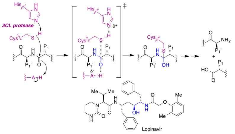https://cdn.ncbi.nlm.nih.gov/pmc/blobs/fee4/8838458/8bb65d8f88e5/molecules-27-00658-g012.jpg