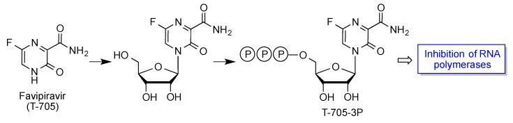 https://cdn.ncbi.nlm.nih.gov/pmc/blobs/fee4/8838458/922640e689e1/molecules-27-00658-g021.jpg