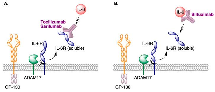 https://cdn.ncbi.nlm.nih.gov/pmc/blobs/fee4/8838458/99ca9638575b/molecules-27-00658-g031.jpg