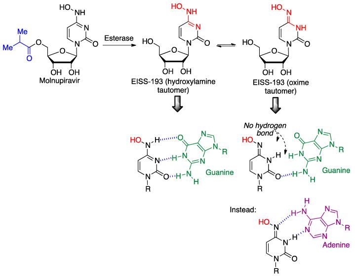 https://cdn.ncbi.nlm.nih.gov/pmc/blobs/fee4/8838458/bb23ff96c85f/molecules-27-00658-g023.jpg