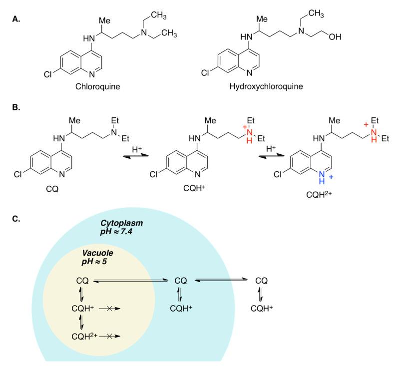 https://cdn.ncbi.nlm.nih.gov/pmc/blobs/fee4/8838458/d0fa619c3ad7/molecules-27-00658-g010.jpg