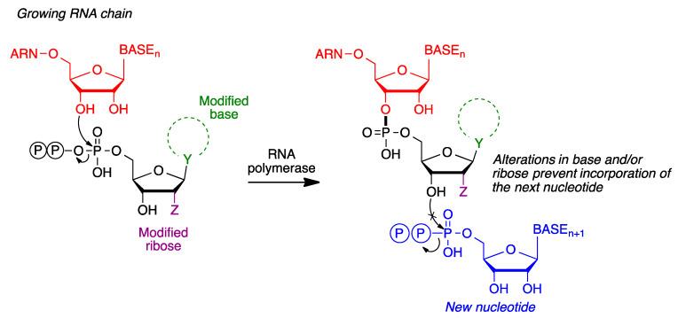 https://cdn.ncbi.nlm.nih.gov/pmc/blobs/fee4/8838458/d70eeec276f6/molecules-27-00658-g017.jpg