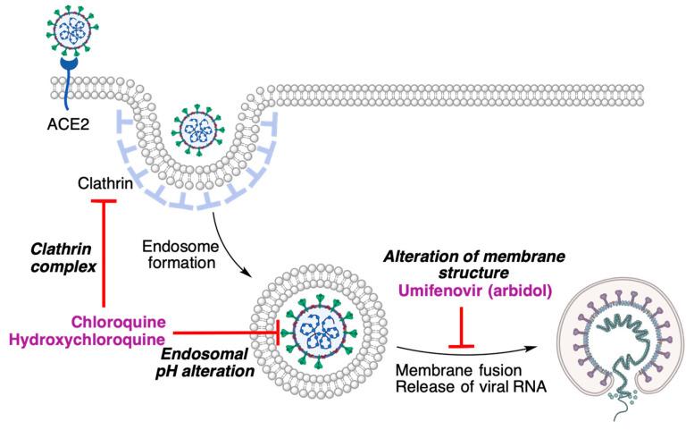 https://cdn.ncbi.nlm.nih.gov/pmc/blobs/fee4/8838458/dbb7540d4069/molecules-27-00658-g009.jpg