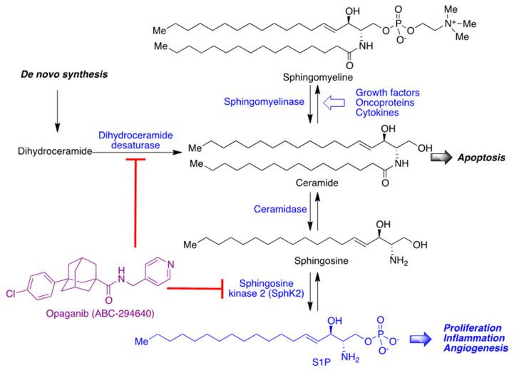 https://cdn.ncbi.nlm.nih.gov/pmc/blobs/fee4/8838458/ecbb12ae2d99/molecules-27-00658-g028.jpg