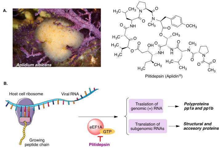 https://cdn.ncbi.nlm.nih.gov/pmc/blobs/fee4/8838458/f797e40c7207/molecules-27-00658-g024.jpg