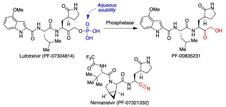 https://cdn.ncbi.nlm.nih.gov/pmc/blobs/fee4/8838458/fb37503fe7df/molecules-27-00658-g014.jpg