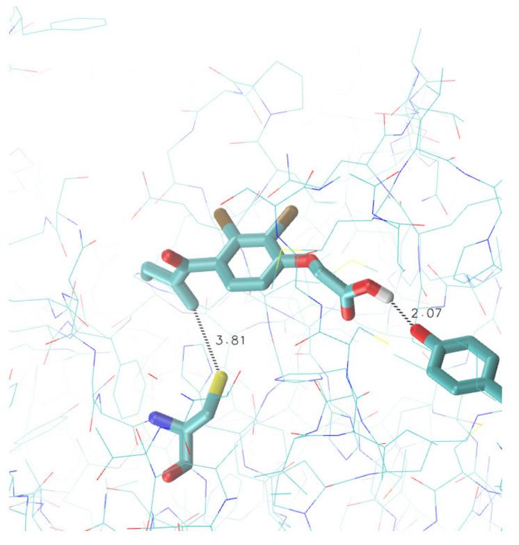 https://cdn.ncbi.nlm.nih.gov/pmc/blobs/feea/7828626/f5310fb27245/viruses-13-00106-g002.jpg